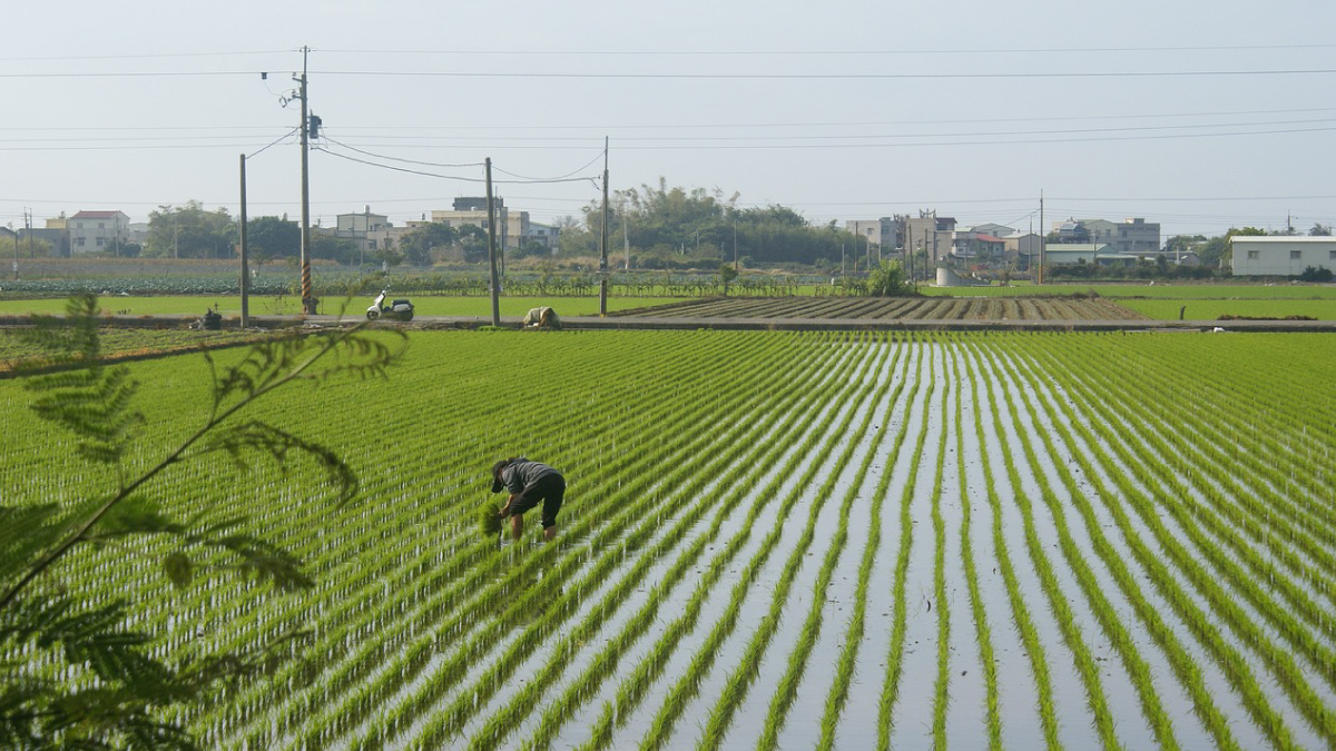 1200x675 農地